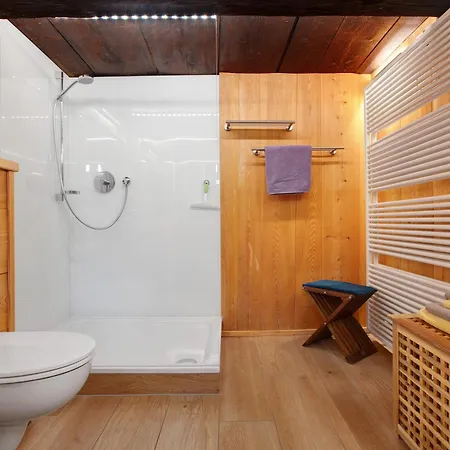 Ferien Im Denkmal Daire Bernau im Schwarzwald