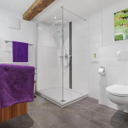 Ferien Im Denkmal * Bernau im Schwarzwald